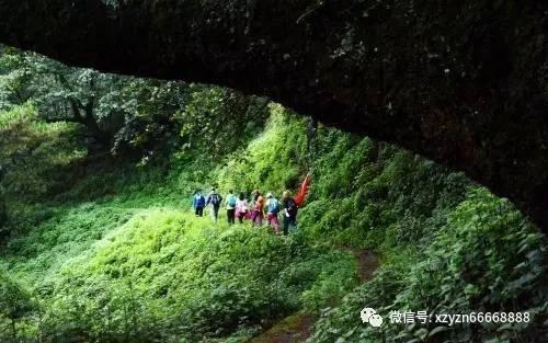骑士的侍从